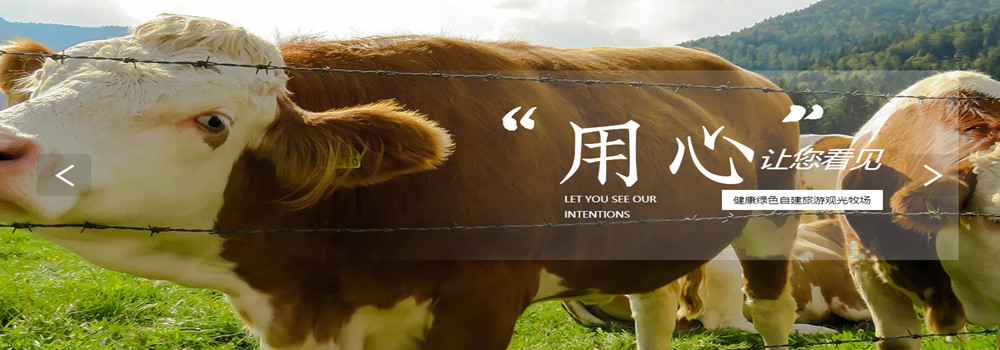 头部图片轮播